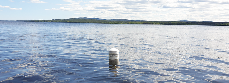 Bath temperature buoy