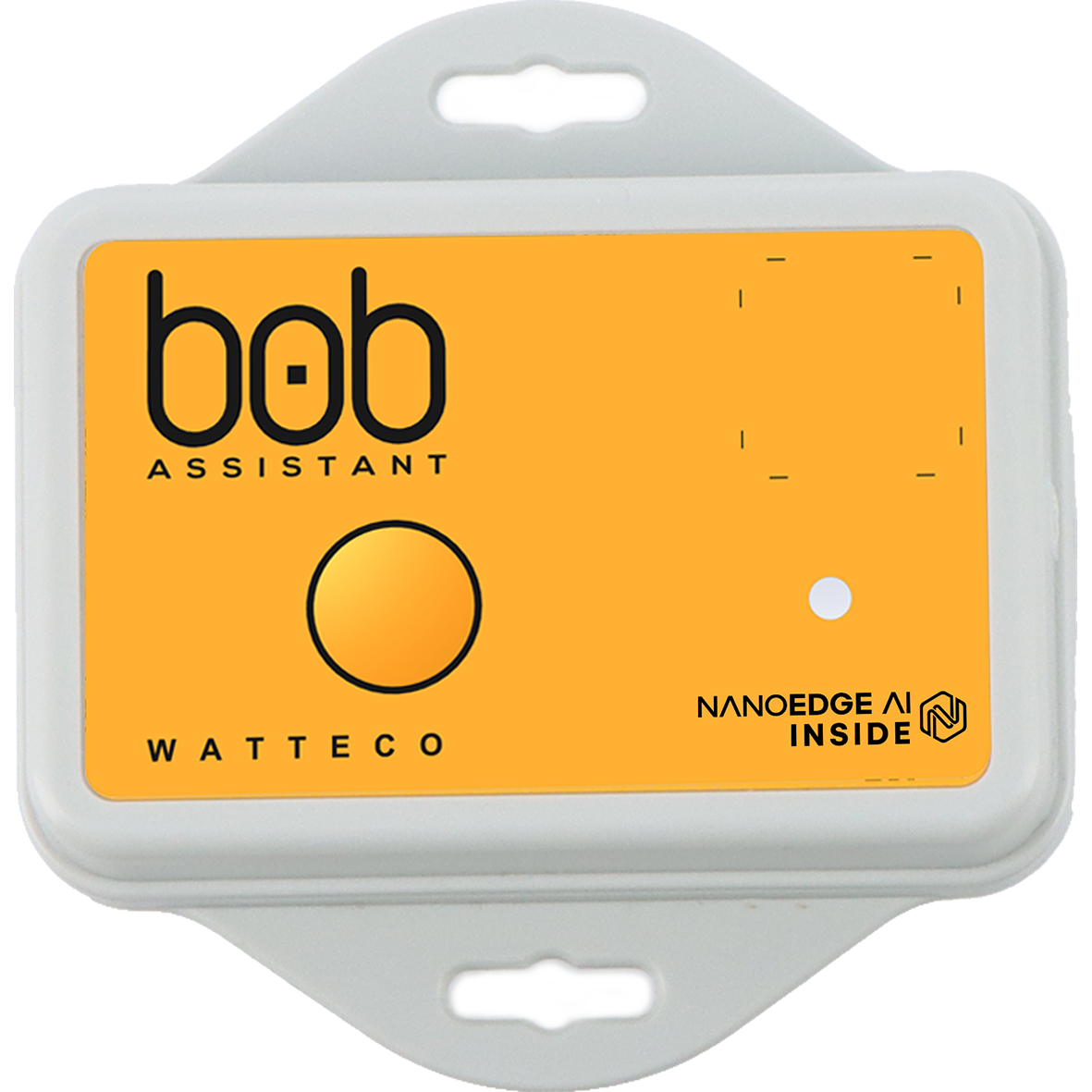<span class="jp_product_title">Bob Assistant</span>