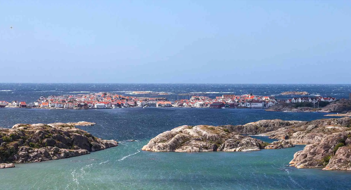 Tjörn